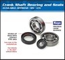 ALL BALLS Crankshaft Bearing & Oil Seal Kit - Crankshaft bearing - BIHR